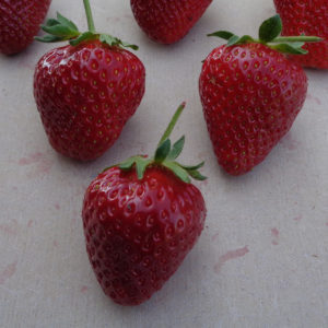 fraise Flair