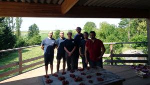 L'équipe de testeurs de fraises