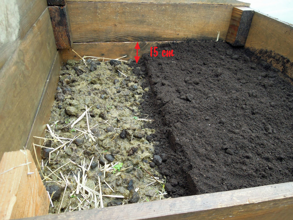 répartition terreau pour semis sur la couche chaude