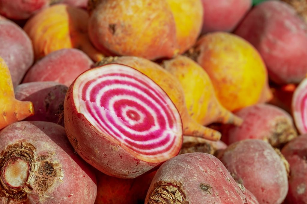 la betterave ronde de Chioggia, une originalité italienne